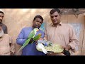 Birds Market Lalukhet Sunday Video Latest Update 31-10-21 By Sohail Ahmed TV in Urdu/Hindi.