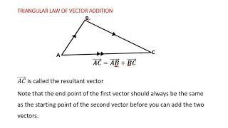 Celebrity 41 Triangular Law of Vector Addition Profile