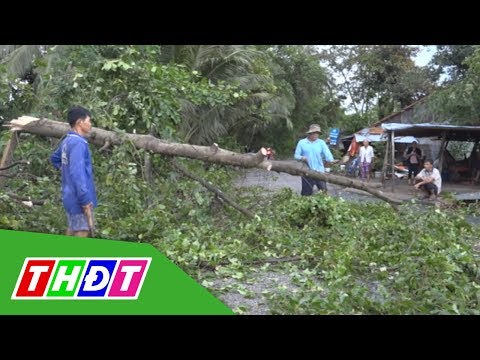 Video Mưa giông gây nhiều thiệt hại ở huyện Lấp Vò | THDT - youtube