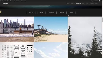 Phoenix Minimal Wordpress Theme Section Management.