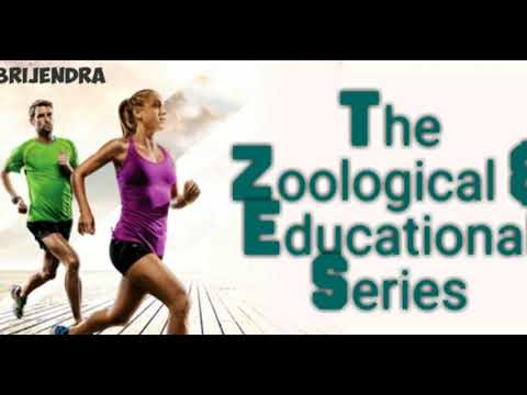 Online Education for Zoology Online Education for Zoology