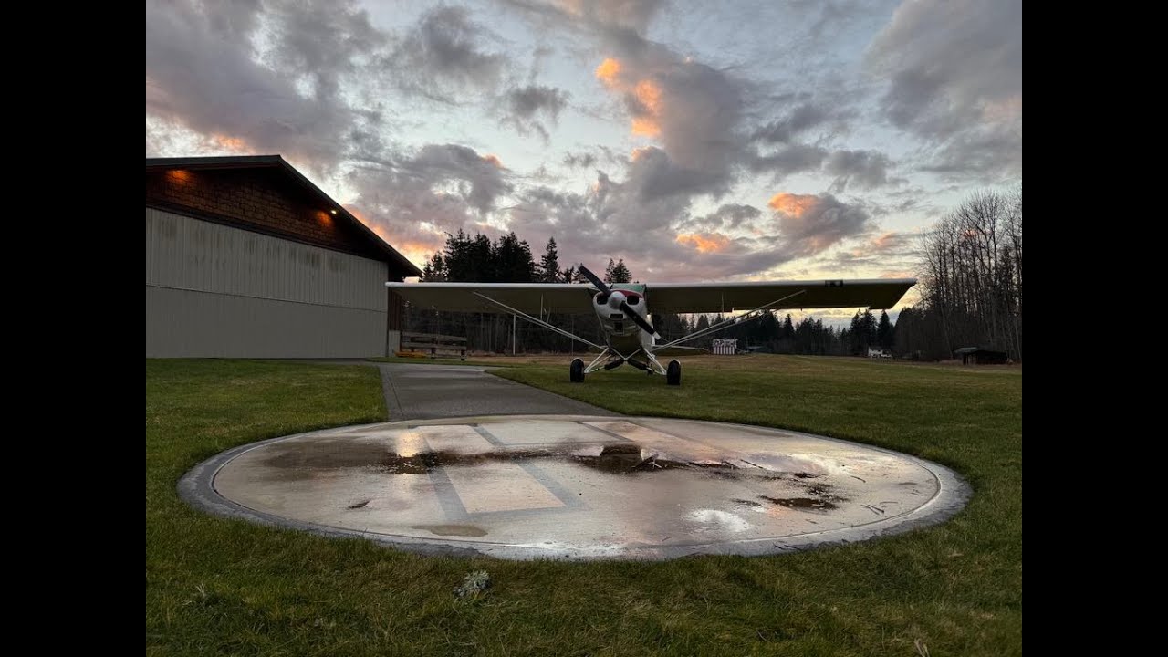 Landing on the Grass Piper SuperCub