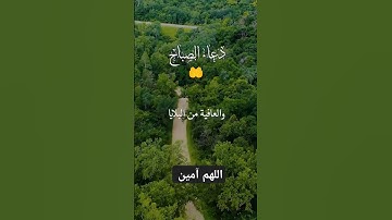 دعاء الصباح الآن#دعاء #الدعاء #الدعاءالمستجاب #اذكار_الصباح #اكسبلور #لايك #أدعية #تيك_توك #ترند