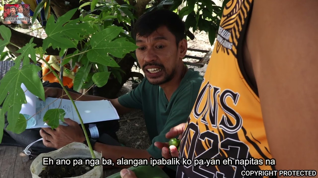 Papanan Na Ngata Ni Baak