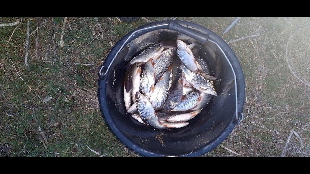⁣Закрытие зимнего сезона рыбалки на Днестре: впечатления и призыв к чистоте