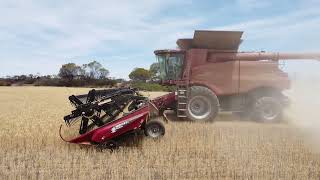2023/24 Harvest, Eastern Wheatbelt, Western Australia