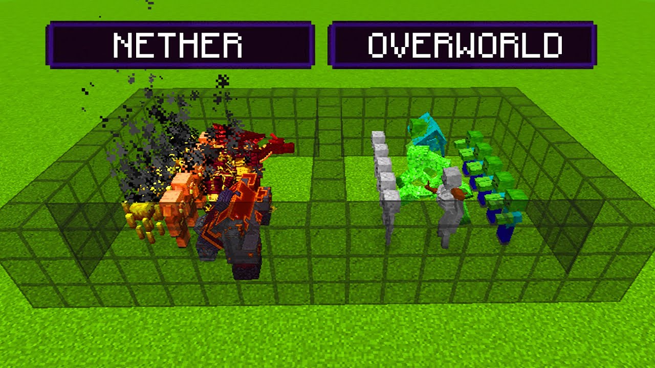 Overworld vs Nether YouTube