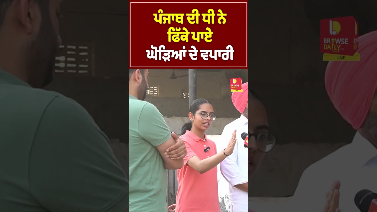 ਪੰਜਾਬ ਦੀ ਧੀ ਨੇ ਫਿੱਕੇ ਪਾਏ ਘੋੜਿਆਂ ਦੇ ਵਪਾਰੀ| Punjabi girl horse trainer, horse riding| Browse Daily tv