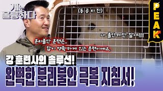 [#피크타임] 도저히 고쳐지지 않는 분리불안을 위한 강형욱 훈련사의 훈련 지침서 | #개는훌륭하다 | KBS 240304 방송