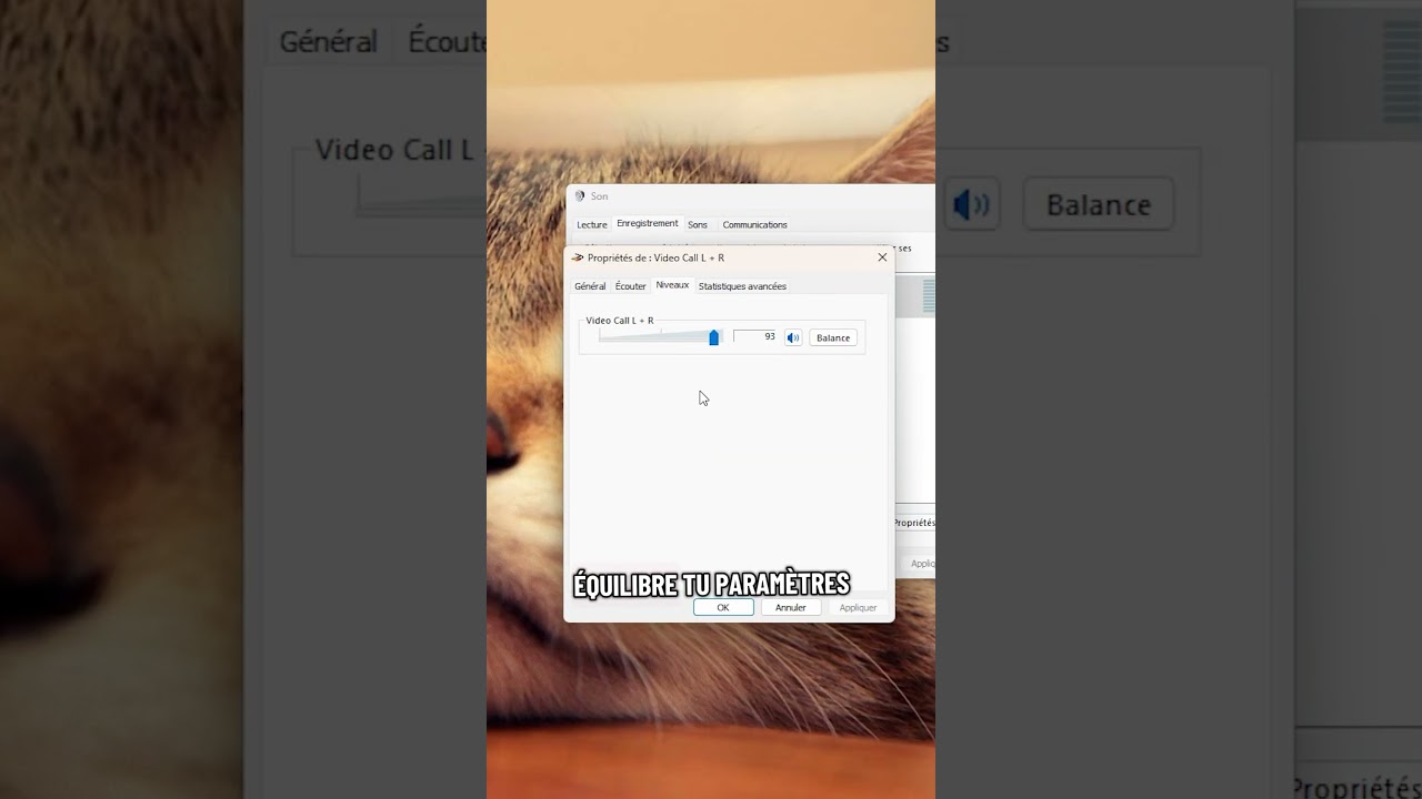 COMMENT BIEN PARAMÉTRER SON MICRO ! 