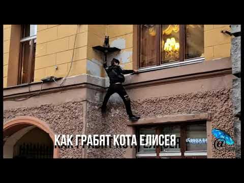 включи ограбление кота