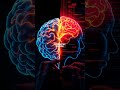 The Science Behind Porn Addiction: How Your Brain Reacts