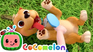 Dog Bath Song With Bingo! | Healthy Animals And Pets | Cocomelon Nursery Rhymes & Kids Songs