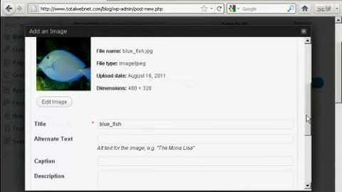How to Insert and Format Images | Wordpress how to tutorials Part 7 - Youtube