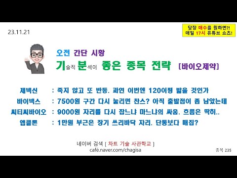 [오전시황 및 종목전략] <strong>제넥신</strong> 바이넥스 씨티씨바이오 앱클론 바이오 제약 주가 매매 전략 231121