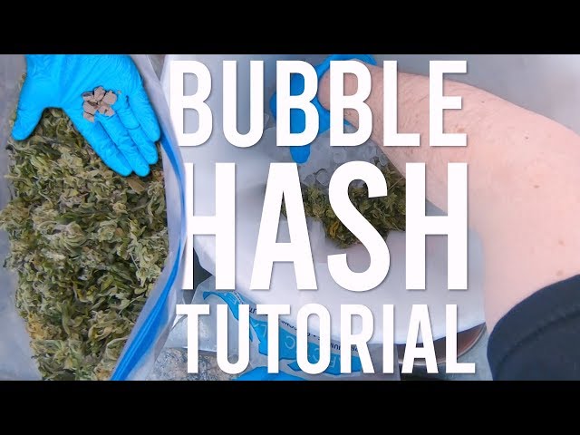 MAKING HASH: TURNING SHAKY TRIM INTO BUBBLE HASH - YouTube