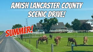 Details Amish Lancaster County Summer Afternoon Drive! News