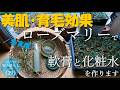 29【暮らし】ローズマリーで軟膏と化粧水を作る｜アンチエイジング育毛効果｜無肥料無農薬でわっさわっさ育ったローズマリー
