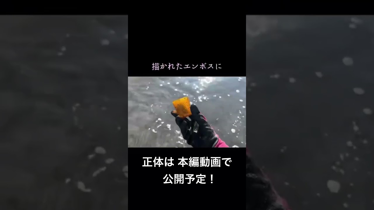 【衝撃】これ何?浜辺で拾った物体の正体は? #宝探し #ビーチコーミング