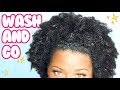 ✨ Quick & Easy Wash And Go For TYPE 4 Natural Hair ✨