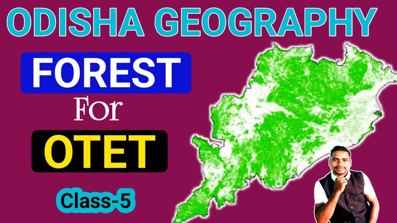 Odisha Geography | Forest Of Odisha | OTET | Class-5