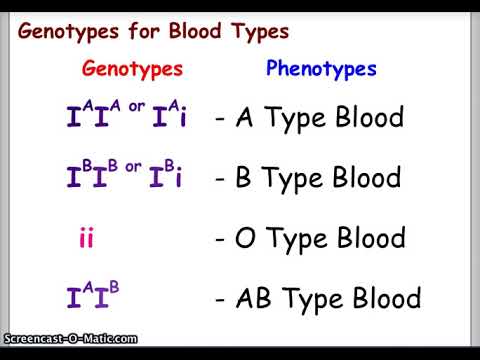 Blood Types And Punnett Squares Youtube