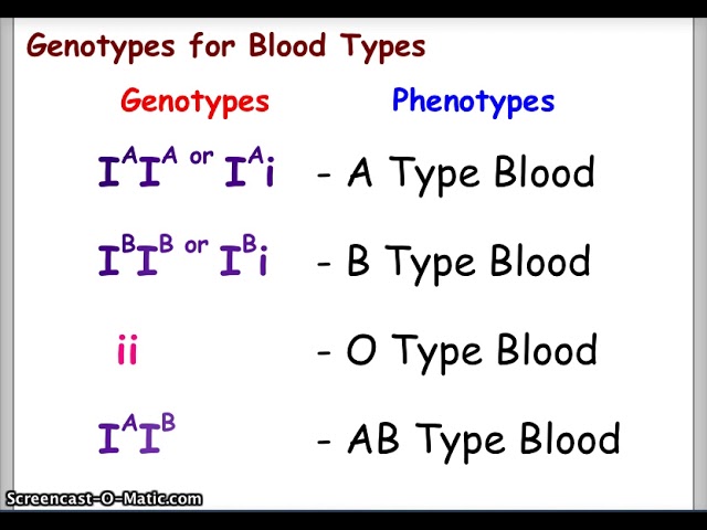 genotype definition for kids