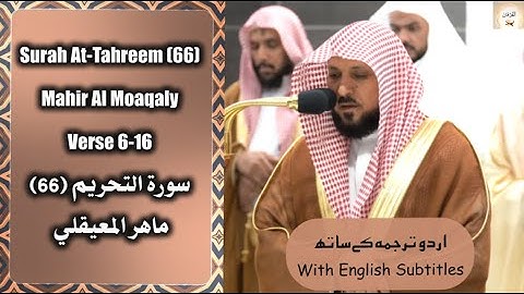 Surah At Tahreem (66) Verse 6-12 Mahir Al Moaqaly سورة التحريم ماهر المعيقلي #quran #islam Urdu/Eng