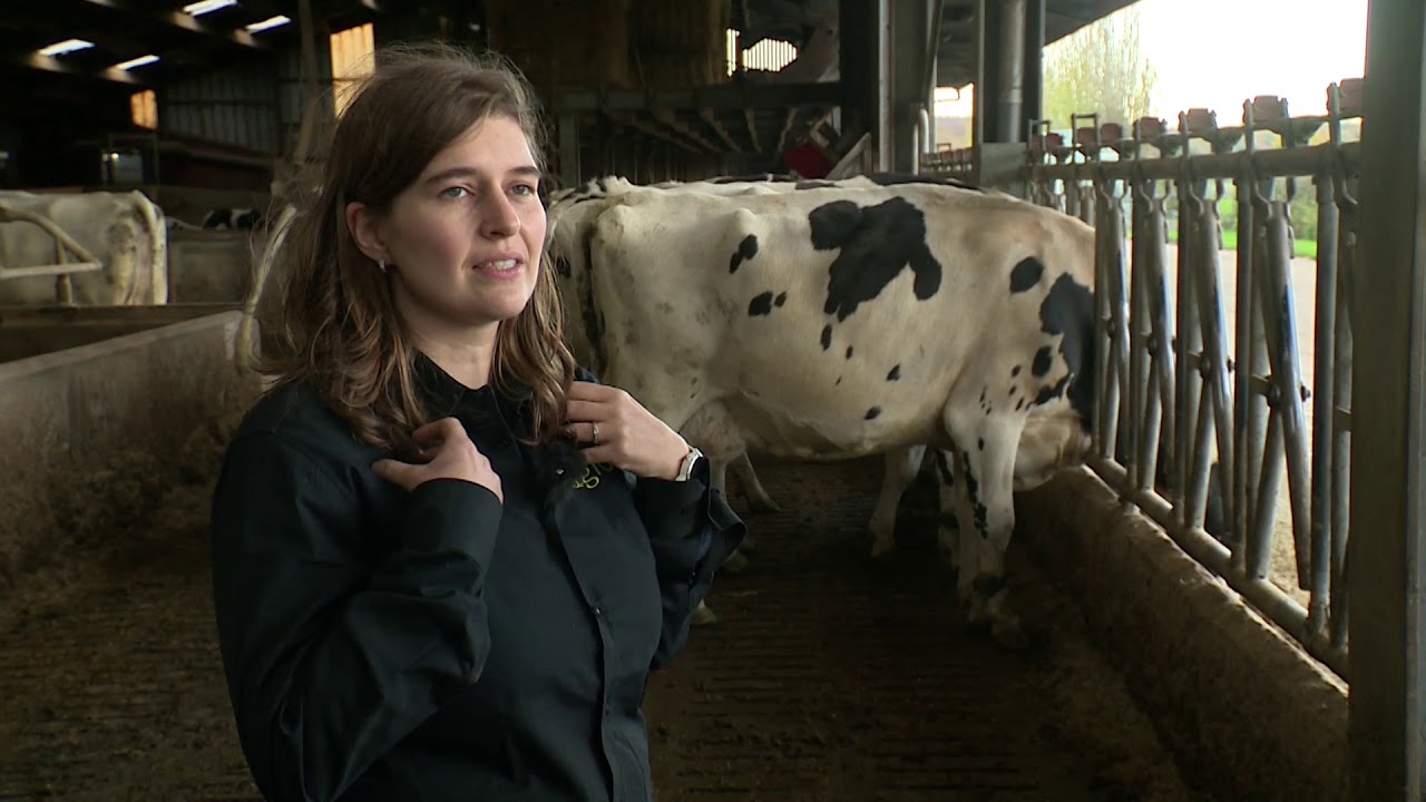 Melkveeadvies   Signalen vanuit de veestapel