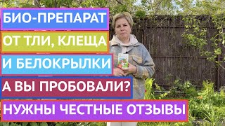 БИОПРЕПАРАТ ОТ ТЛИ, БЕЛОКРЫЛКИ И КЛЕЩА ЭТО НЕ МИФ!