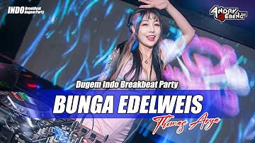 BREAKBEAT BUNGA EDELWEIS THOMAS ARYA FULL BASS TERBARU 2025_DJ EBENG