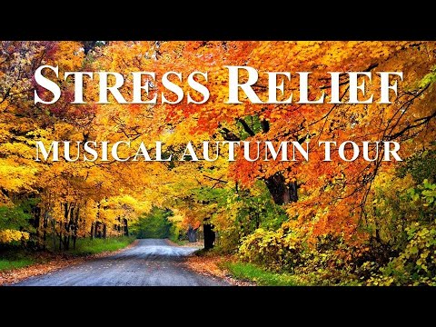 Autumn Season -