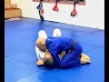 Judo training, position “100 kilos (cem quilos)” from BJJ #judo #100kilosbjj #jiujitsu #bjj