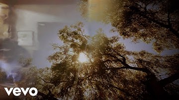 My Morning Jacket - Feel You (Official Visualizer)