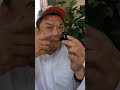 شوو داخل البيض الأسود