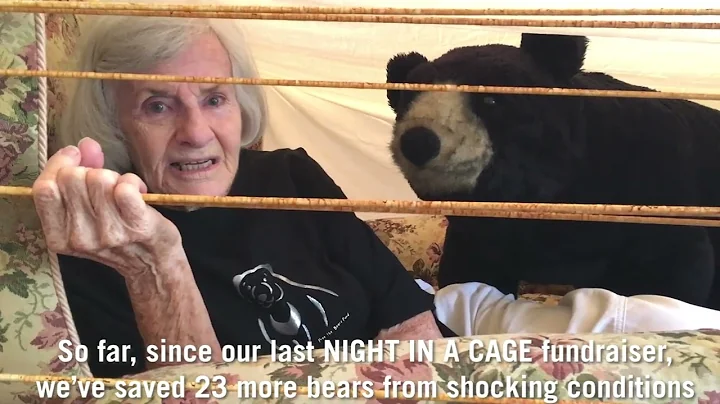 Free the Bears founder Dr Mary Hutton OAM CAGED AG...