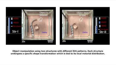 Miniaturized Soft Robots Using Hydrogel Actuators
