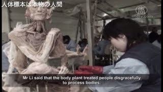 大連死体工場元従業員「人体標本は本物の人間」 【禁聞】