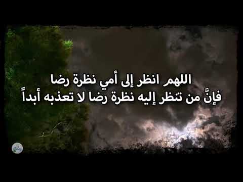 سورة العنكبوت من الآية ٤١ إلى الآية ٥٠ 