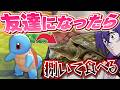 友達になったポケモン捌いて食べる企画が残酷すぎたwww【ぽこあポケモン】