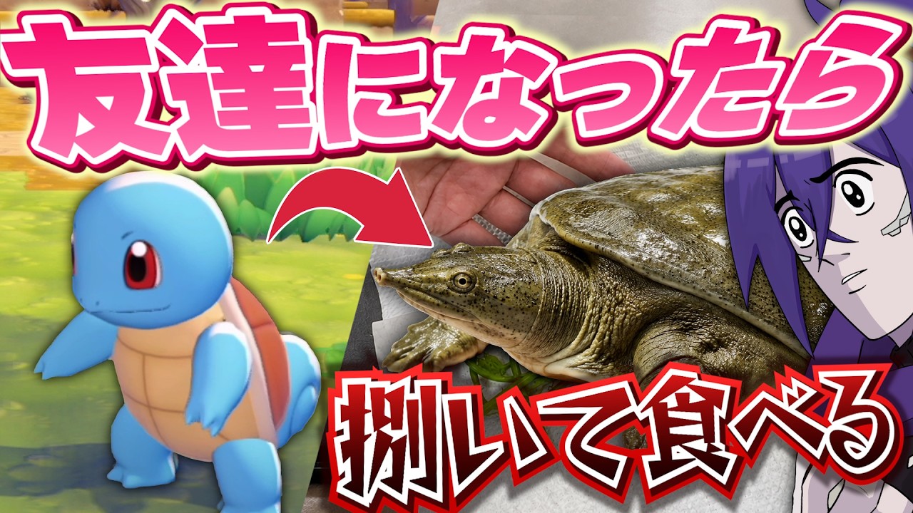 友達になったポケモン捌いて食べる企画が残酷すぎたwww【ぽこあポケモン】
