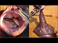 Catching Seafood 🦐🦀 Deep Sea Octopus (Catch Crab, Catch Fish) - Tik Tok #10