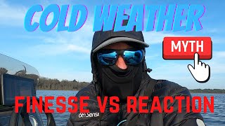 FINESSE VS REACTION Baits in Cold Weather Bass Fishing