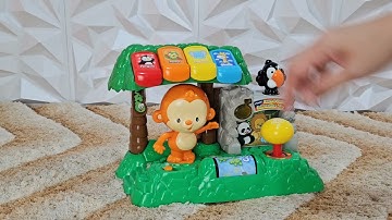 Vtech Learn & Dance Interactive Zoo