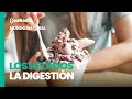 Mundo Natural: Los helados y la digestión