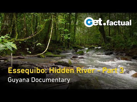Essequibo: Hidden River - Tajomný zdroj | Dokument z Guyany, časť 3/3
