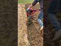 Mini Power: Turning the Earth with Precision Tilling #shorts