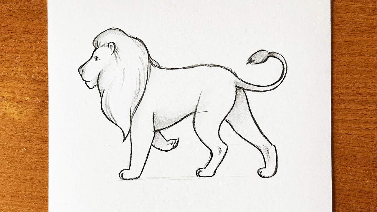 How to draw a Lion easy step by step || Lion drawing for beginners ...