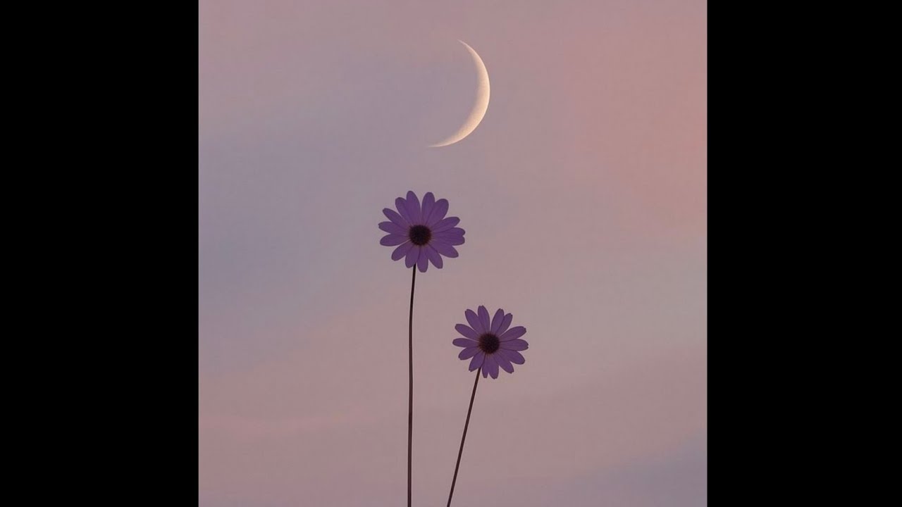 (FREE) Pop Type Beat - Gravity | Acoustic Guitar Type Beat | The Kid LAROI Type Beat