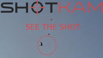 SHOTKAM 2018 - Wood pigeon hunting - Long range shooting with Patternmaster - витютень охота